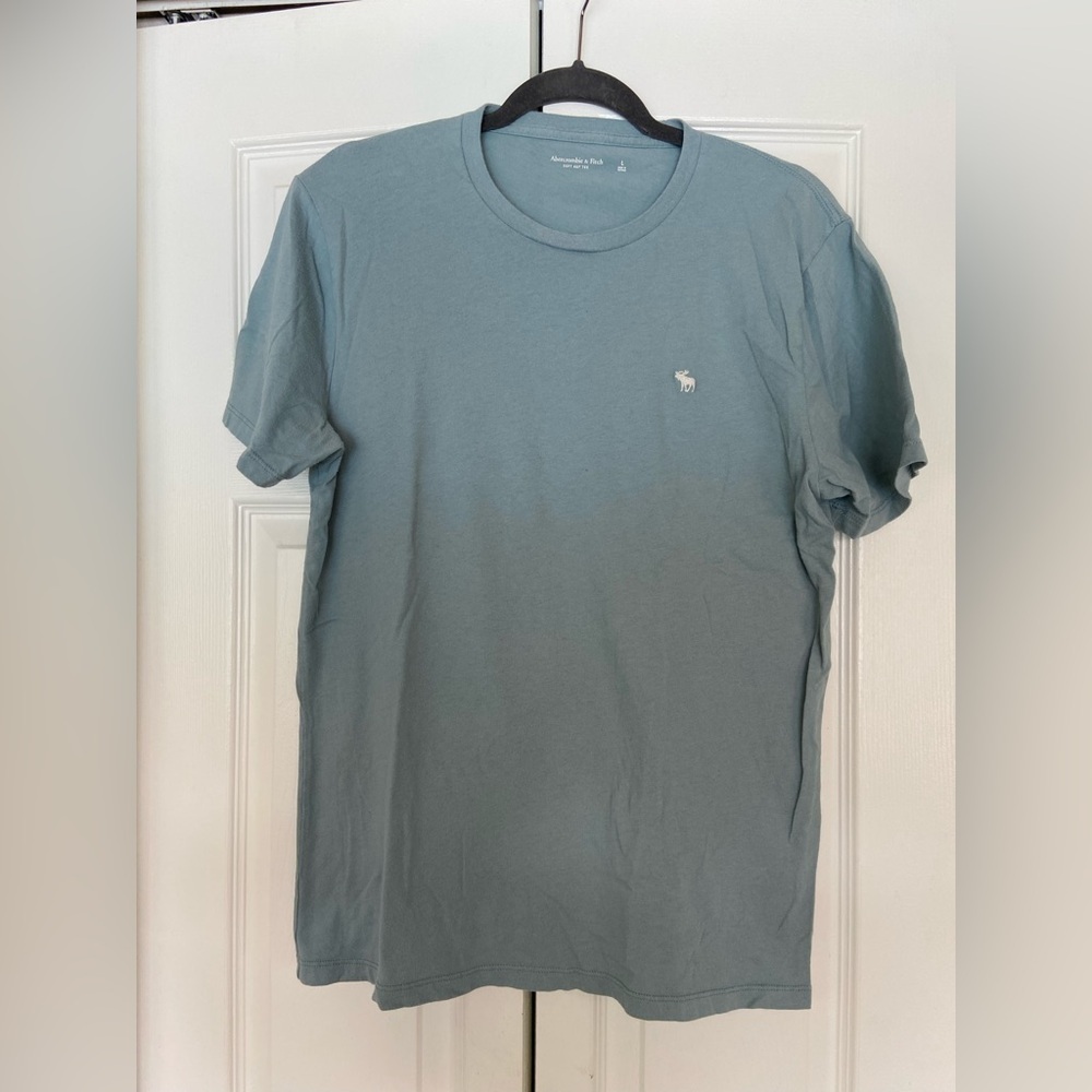 Abercrombie & Fitch Men's Blue Crew Neck T-Shirt Size L Short Sleeve